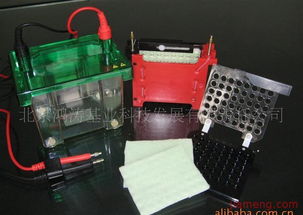 鴻濤基業化妝品加盟連鎖 開啟創業新篇章，火爆招商進行中